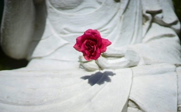 Phương pháp đối trị sân